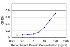 RHOA Antibody in ELISA (ELISA)