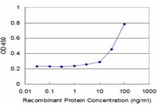 BST2 Antibody in ELISA (ELISA)