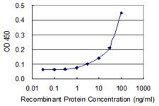 CASQ1 Antibody in ELISA (ELISA)