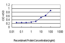 CCNH Antibody in ELISA (ELISA)