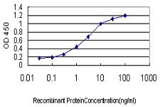 TNFRSF8 Antibody in ELISA (ELISA)