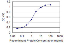 CDR2 Antibody in ELISA (ELISA)