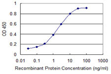 CHUK Antibody in ELISA (ELISA)