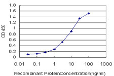 CLCA1 Antibody in ELISA (ELISA)