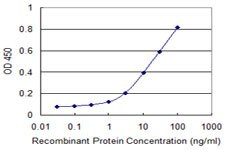 CLTC Antibody in ELISA (ELISA)