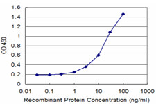 CRY2 Antibody in ELISA (ELISA)