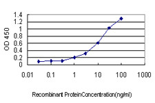 CSE1L Antibody in ELISA (ELISA)