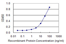 CST3 Antibody in ELISA (ELISA)