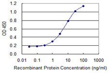 CYLD Antibody in ELISA (ELISA)