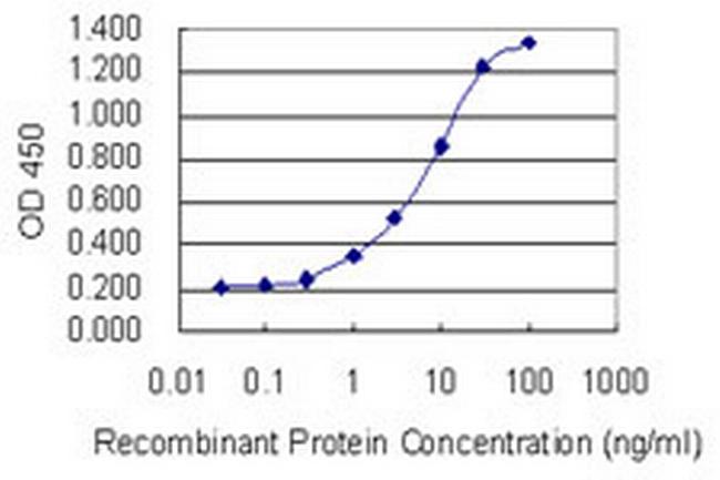 CYP1A2 Antibody in ELISA (ELISA)