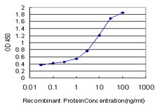DAO Antibody in ELISA (ELISA)