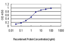 ARID3A Antibody in ELISA (ELISA)