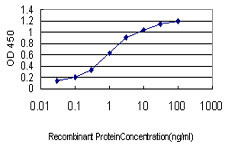 DUT Antibody in ELISA (ELISA)