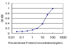 EGR1 Antibody in ELISA (ELISA)