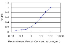 EGR1 Antibody in ELISA (ELISA)