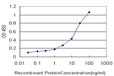 ERBB3 Antibody in ELISA (ELISA)