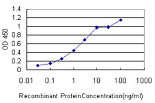 FGF12 Antibody in ELISA (ELISA)