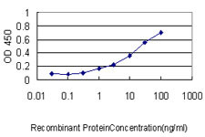 FGG Antibody in ELISA (ELISA)