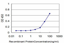 GABPA Antibody in ELISA (ELISA)