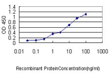 GCG Antibody in ELISA (ELISA)