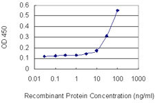 GJB2 Antibody in ELISA (ELISA)