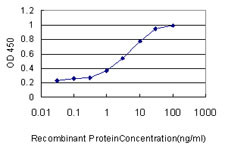 GNG3 Antibody in ELISA (ELISA)