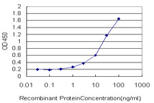 GPD2 Antibody in ELISA (ELISA)