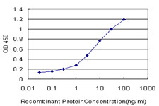 GRK6 Antibody in ELISA (ELISA)