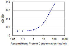 GRM8 Antibody in ELISA (ELISA)