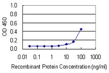 BRF1 Antibody in ELISA (ELISA)