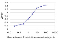 HMGB2 Antibody in ELISA (ELISA)