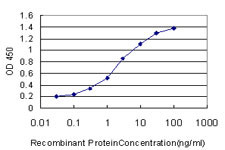 HOXA11 Antibody in ELISA (ELISA)