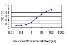 LLGL1 Antibody in ELISA (ELISA)