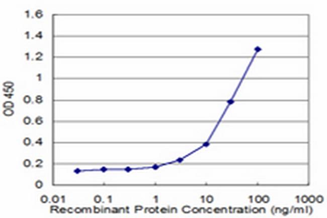 LOXL2 Antibody in ELISA (ELISA)