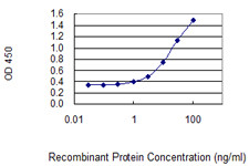 SH2D1A Antibody in ELISA (ELISA)