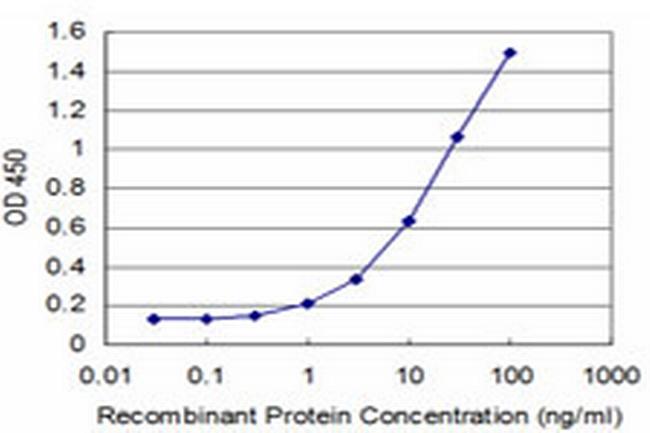 MEF2A Antibody in ELISA (ELISA)