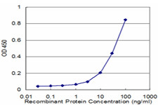 MPP1 Antibody in ELISA (ELISA)