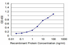 YBX1 Antibody in ELISA (ELISA)