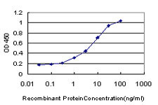 PBX1 Antibody in ELISA (ELISA)