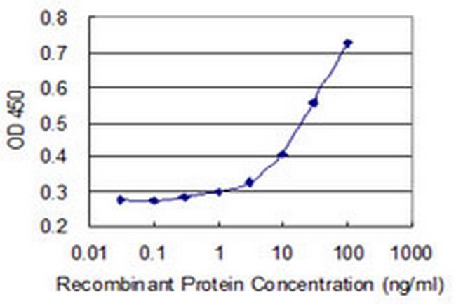 PHKA2 Antibody in ELISA (ELISA)