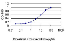 PRKCI Antibody in ELISA (ELISA)