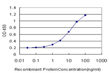 RAD1 Antibody in ELISA (ELISA)