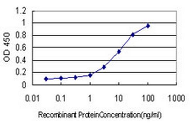 RNASEL Antibody in ELISA (ELISA)