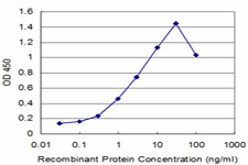 ROBO1 Antibody in ELISA (ELISA)