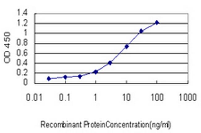 RORA Antibody in ELISA (ELISA)