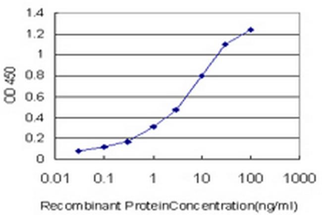 RORB Antibody in ELISA (ELISA)