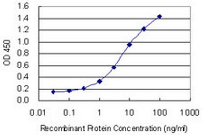 RPS6KB1 Antibody in ELISA (ELISA)