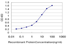 RPS6KB2 Antibody in ELISA (ELISA)