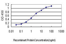 RRM2 Antibody in ELISA (ELISA)