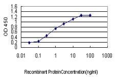 S100A2 Antibody in ELISA (ELISA)